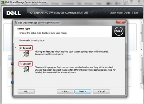 OpenManage Setup Type options