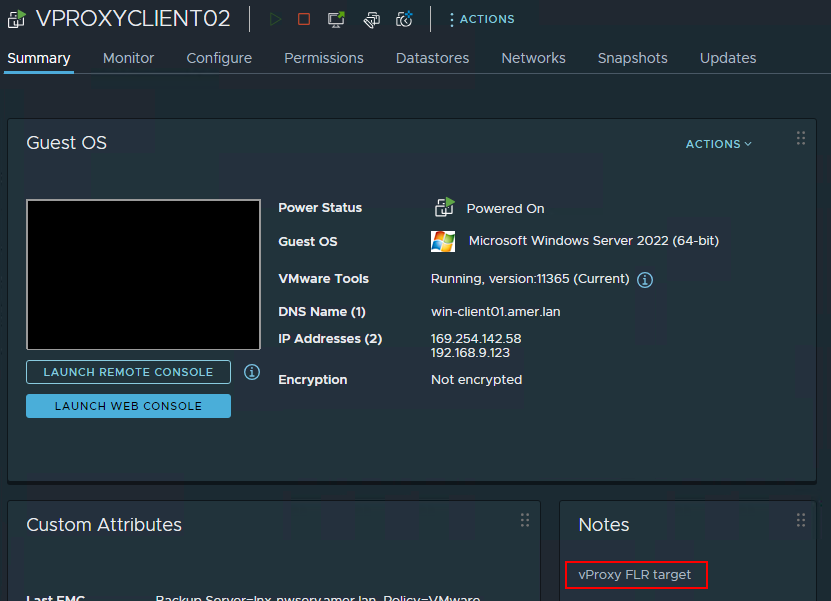 Поле нотаток VMware