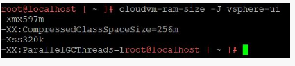 Cloudvm-ram-size -J service_name Command Output