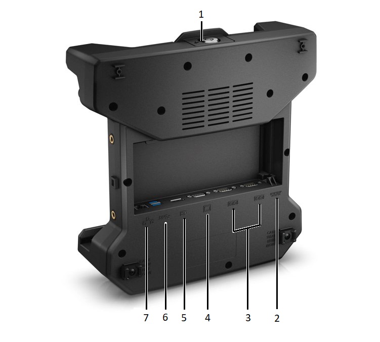 Havis — widok z tyłu