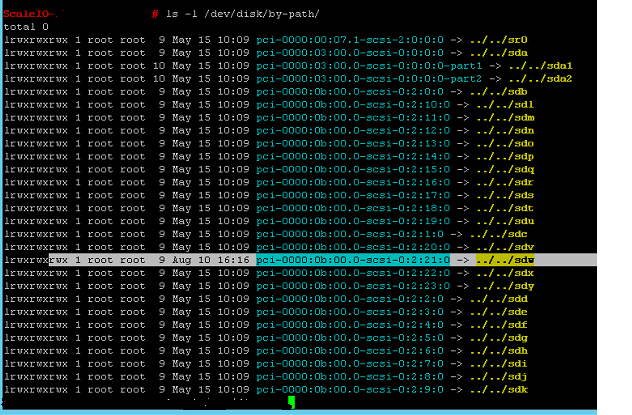 ls -l /dev/disk/by-path/