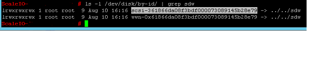 ls -l /dev/disk/by-id/ | grep sdw