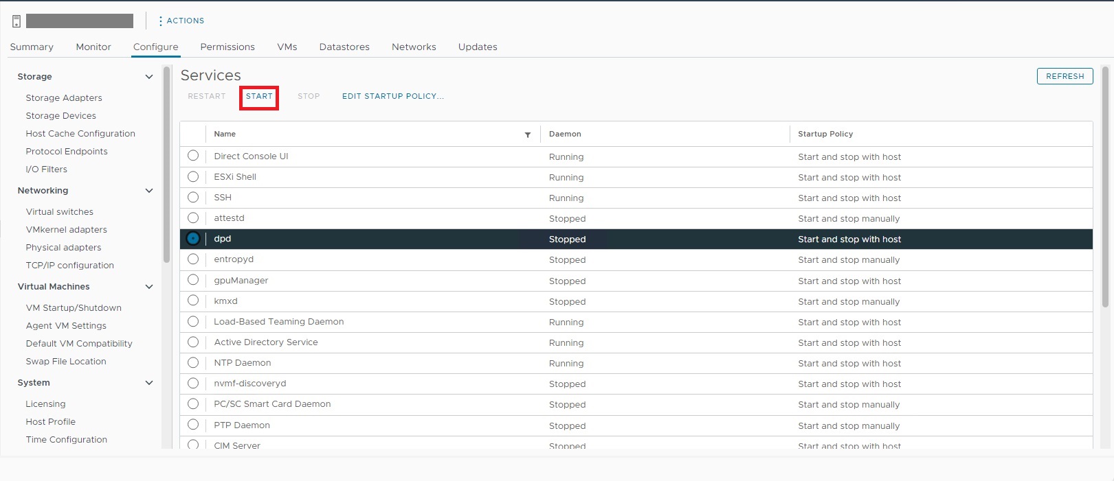 Start dpd via vSphere-nettklienten