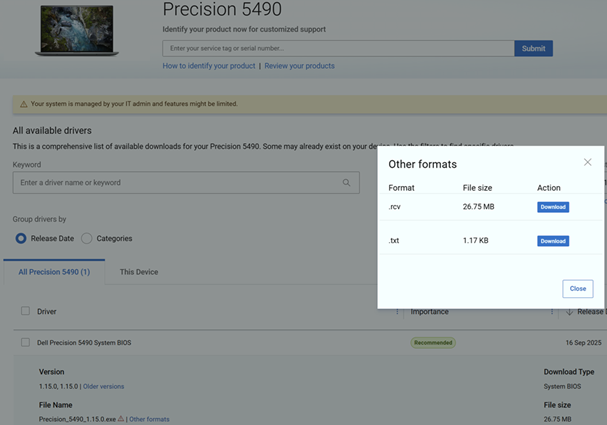 Download dell'aggiornamento del BIOS in formato RCV