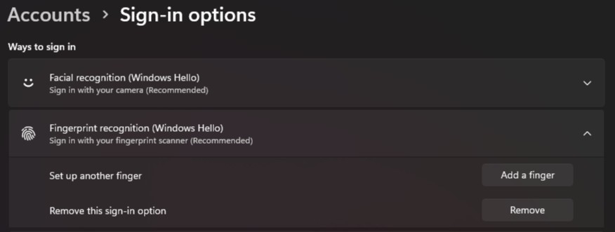 Przykład czytnika linii papilarnych 1