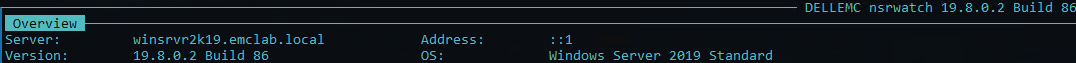 Dettagli del server NetWorker da nsrwatch