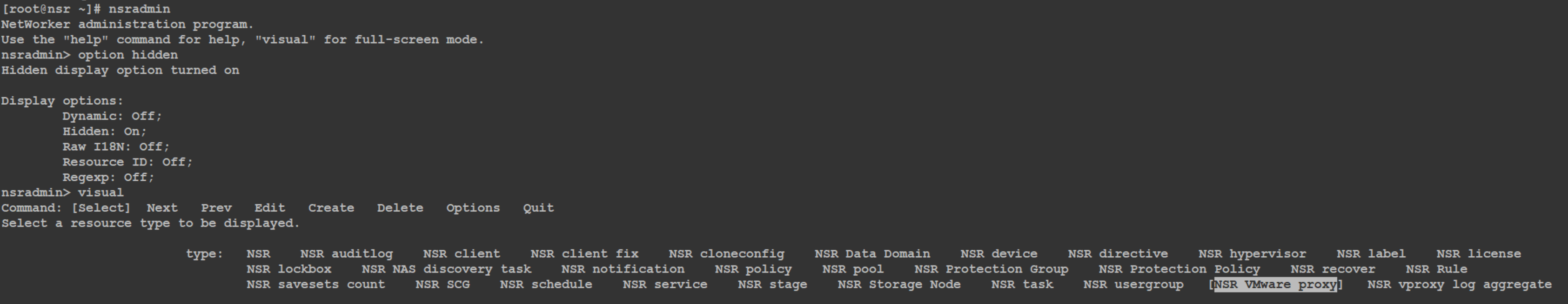 Dienstprogramm nsradmin, Aktivieren ausgeblendeter Optionen und Verwenden des visuellen Modus für den Zugriff auf NSR VMware Proxy