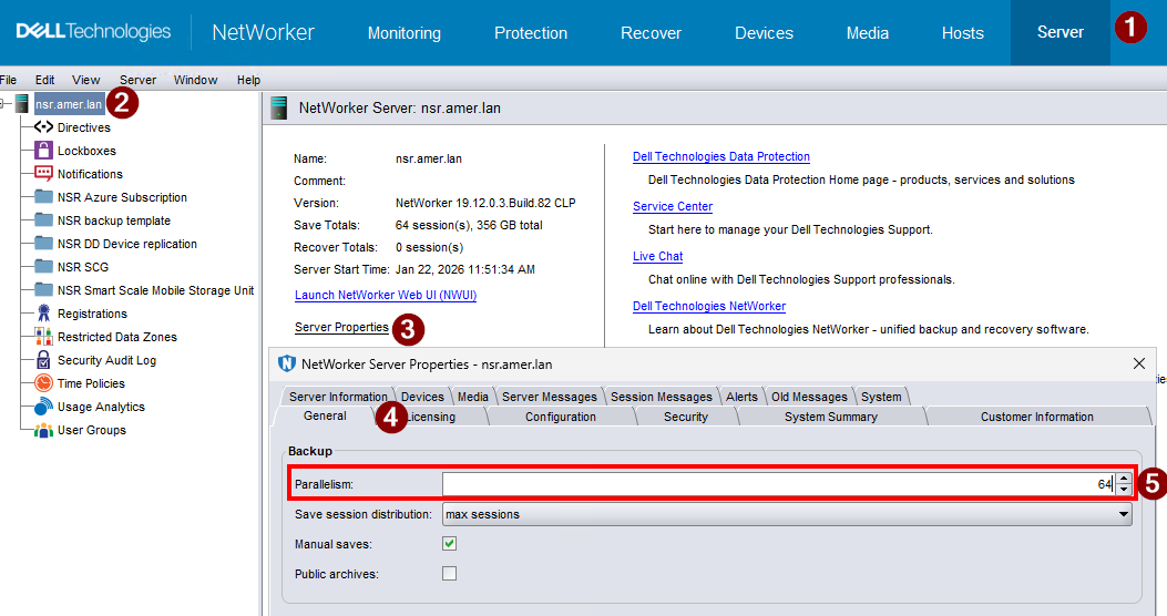 NetWorker-serverparallellitet