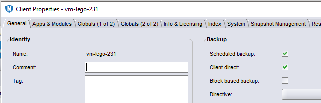 Paramètres de sauvegarde directe du client NetWorker
