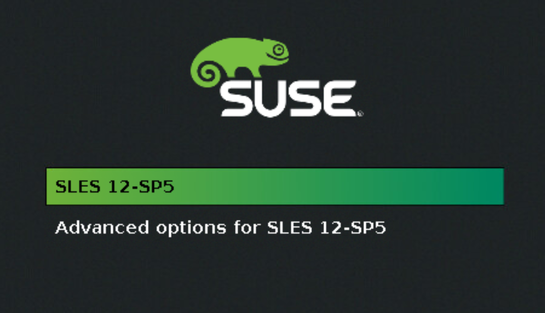 NVE GRUB 加载程序