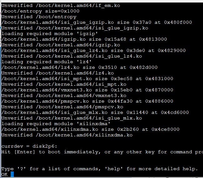 Esempio di prompt OK