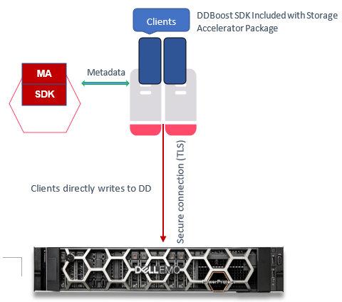 Die Grafik zeigt, wie Clientdaten mithilfe einer DDBoost-Clientbibliothek direkt auf Data Domain gesichert werden. Metadaten werden an Commvault gesendet. Das DDBoost SDK ist im Storage Accelerator Package enthalten. Clients schreiben über eine sichere TLS-Verbindung in die DD.
