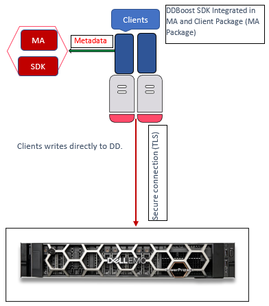 圖中顯示使用 DDBoost 用戶端程式庫，透過安全的 TLS 連線將用戶端資料直接備份至 Data Domain。中繼資料會傳送至 Commvault。DDBoost SDK 已整合至媒體代理程式和用戶端套件中。