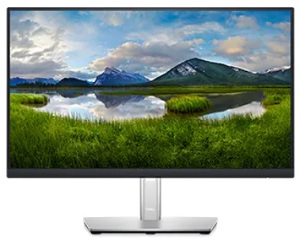 P2222H Monitor