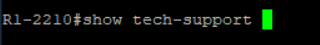 Digite manualmente o comando show tech-support