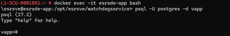 Ausgabe von docker exec -it esrsde-app bash