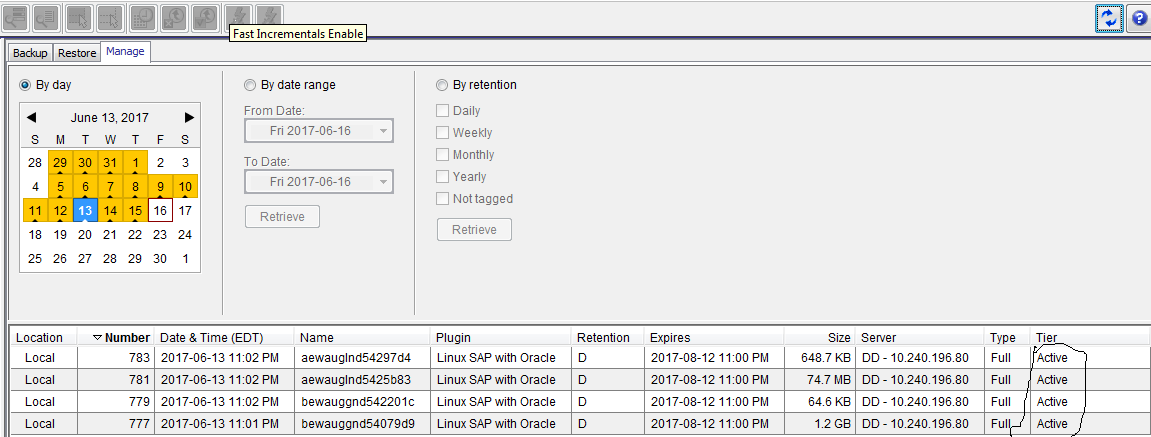 Scheda MCGUI Backup and Restore Manage
