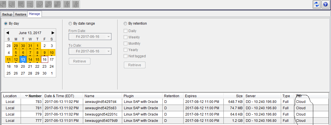 Scheda MCGUI Backup and Restore Manage