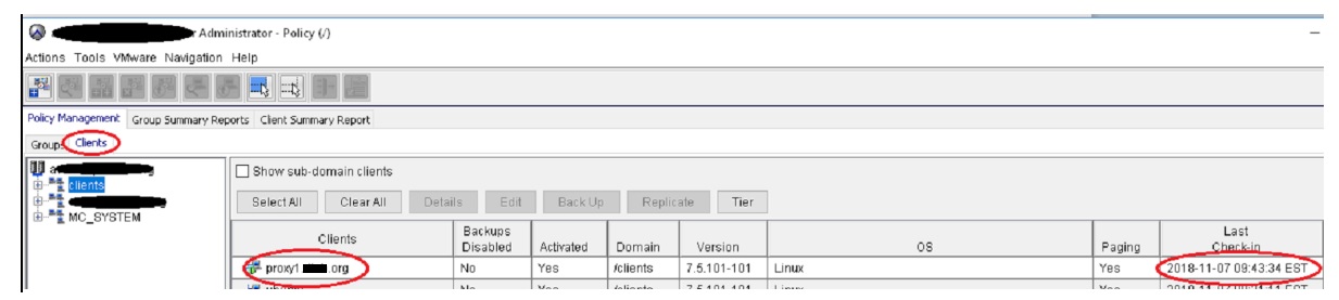Avamar Administrator Console