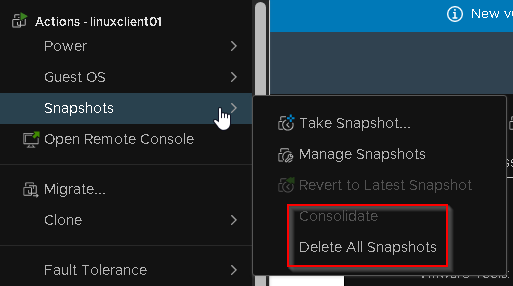 Delete all snapshots