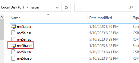 Image of cer files. Highlights which is relevant