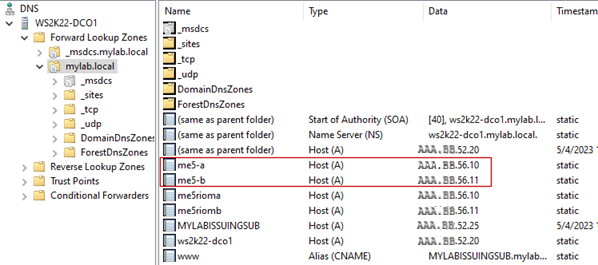Image shows DNS entries as indicated