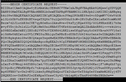 Image showing relevant section of CSR file