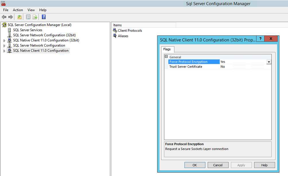 Sql Server Configuration Manager screen