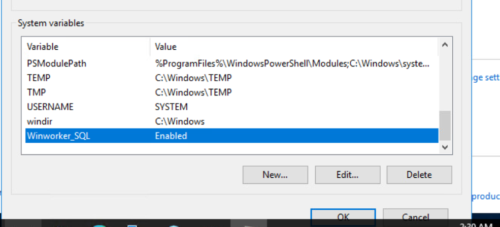 System variables in Windws