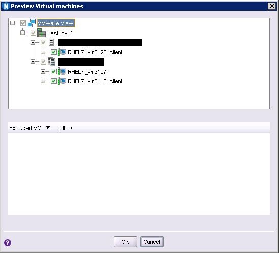 Example of the Preview of the selected VMs