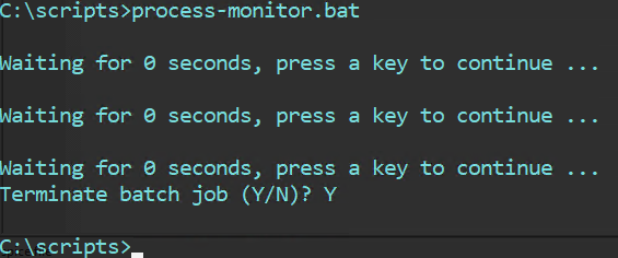 Beispiel für process-monitor.bat Ausführung