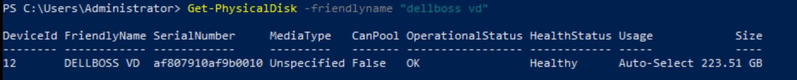 Отфильтрованные выходные данные Powershell Get-PhysicalDisk