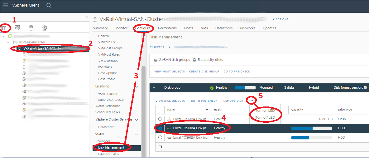 開啟 Esxi VxRail Cluster 上的磁碟實體 LED