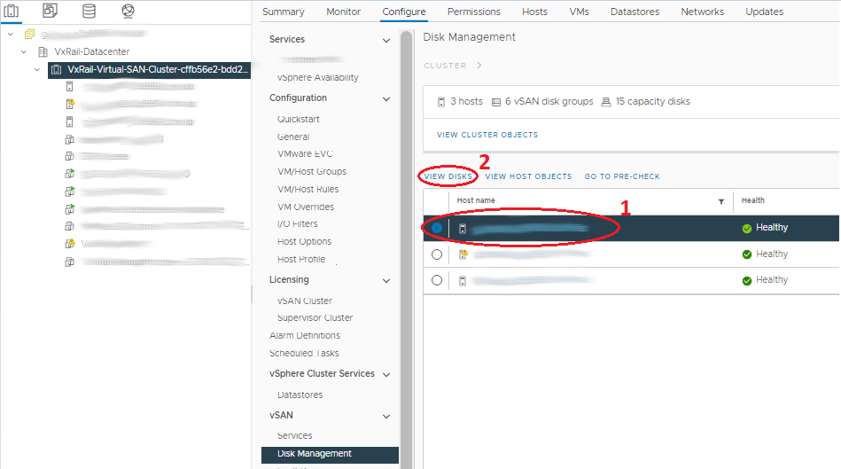 瀏覽至 vSphere 上 Esxi 主機的 vSAN 磁碟