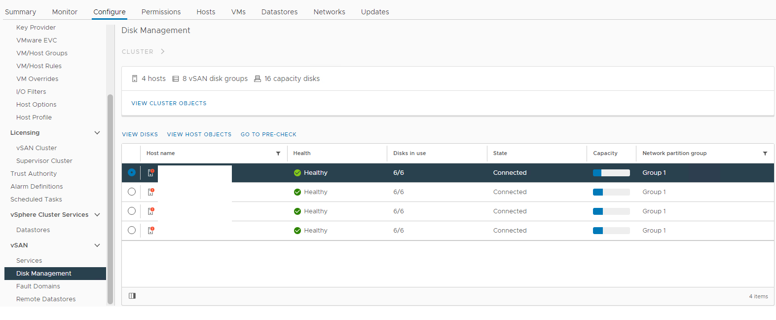 vSAN Disk Management view