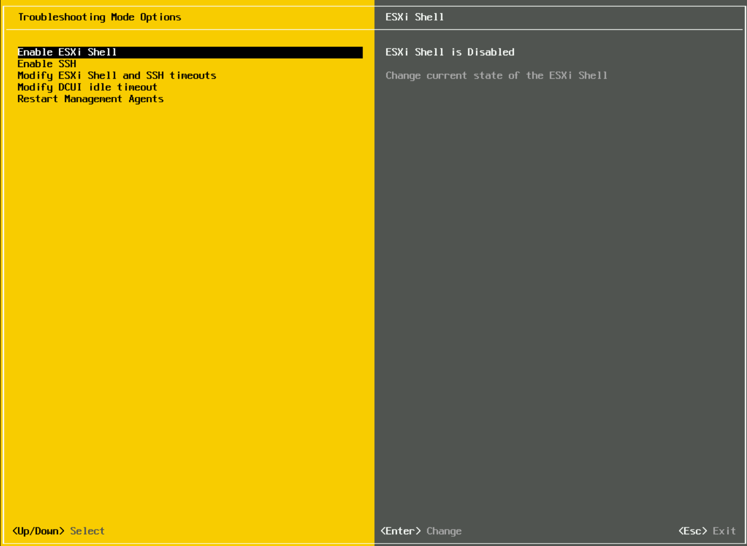 VMware ESXi DCUI Troubleshooting Options screen