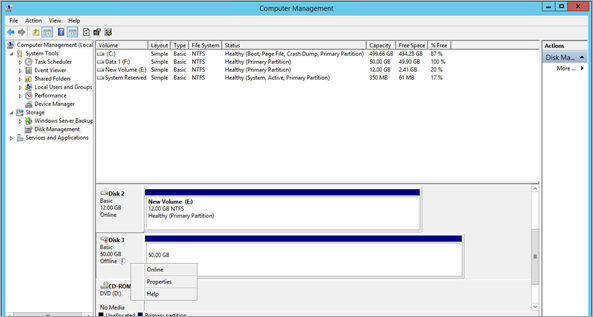 Disk Online