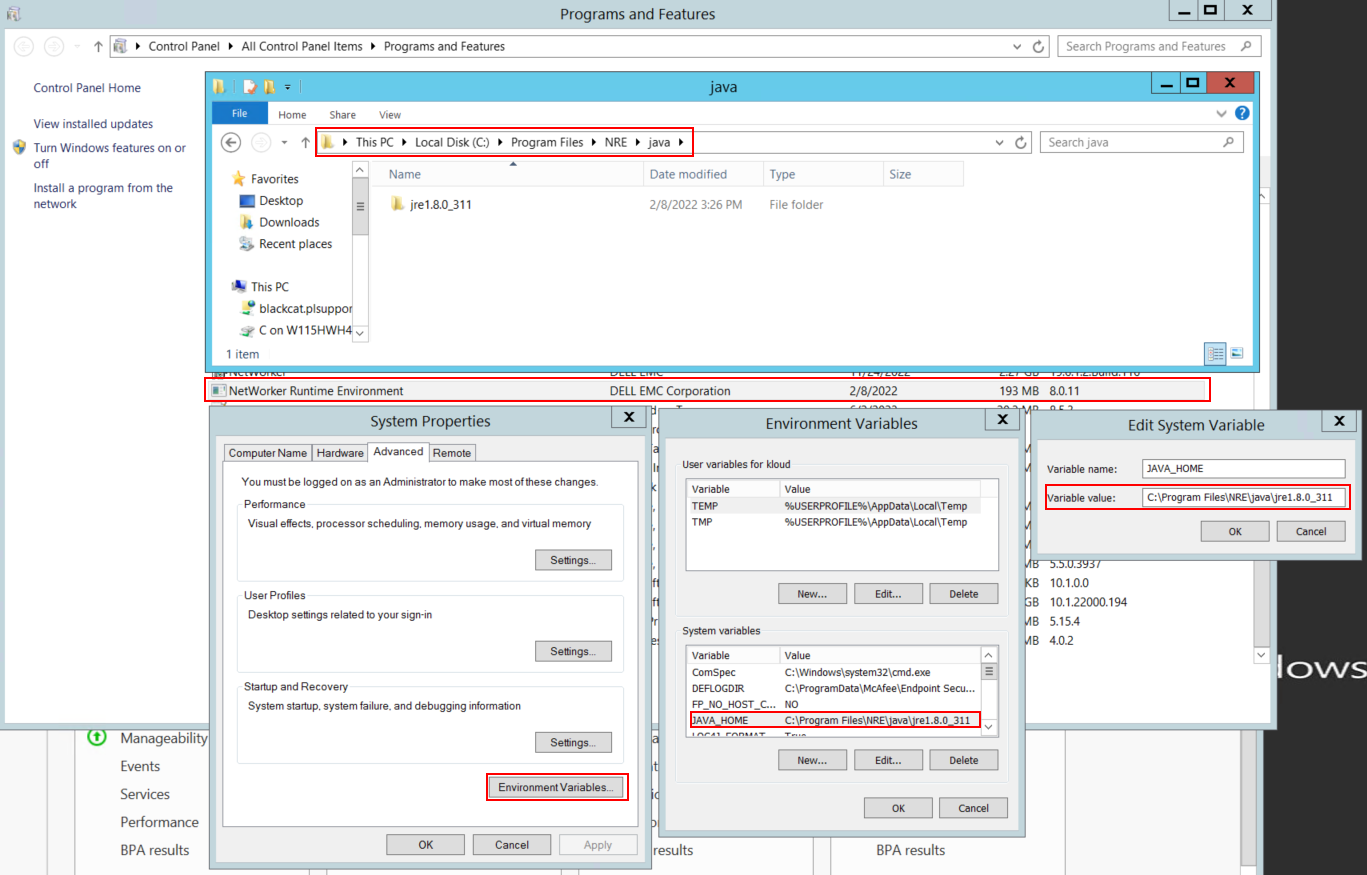 Confirm what Java Instance NetWorker is Using