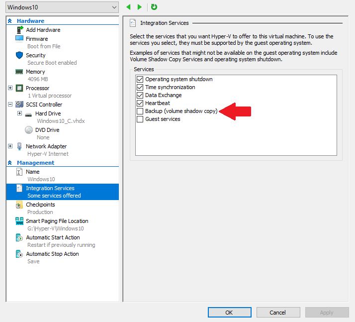 VM has Backup Volume Shadow Copy Option Checked