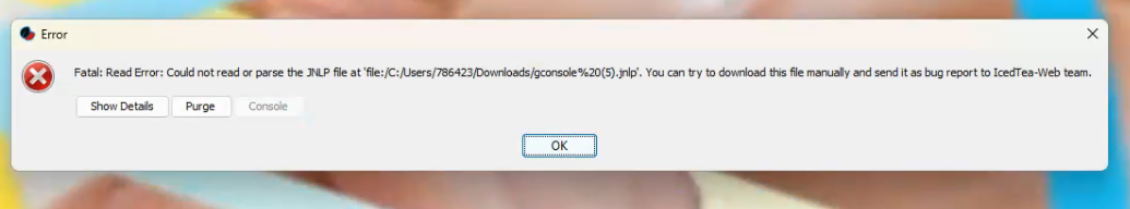 Could not parse JNLP