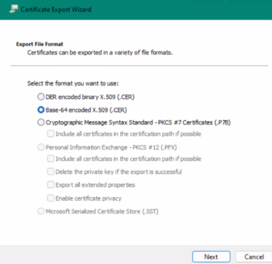 编码选择的屏幕截图
