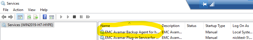 avagent-cluster_services