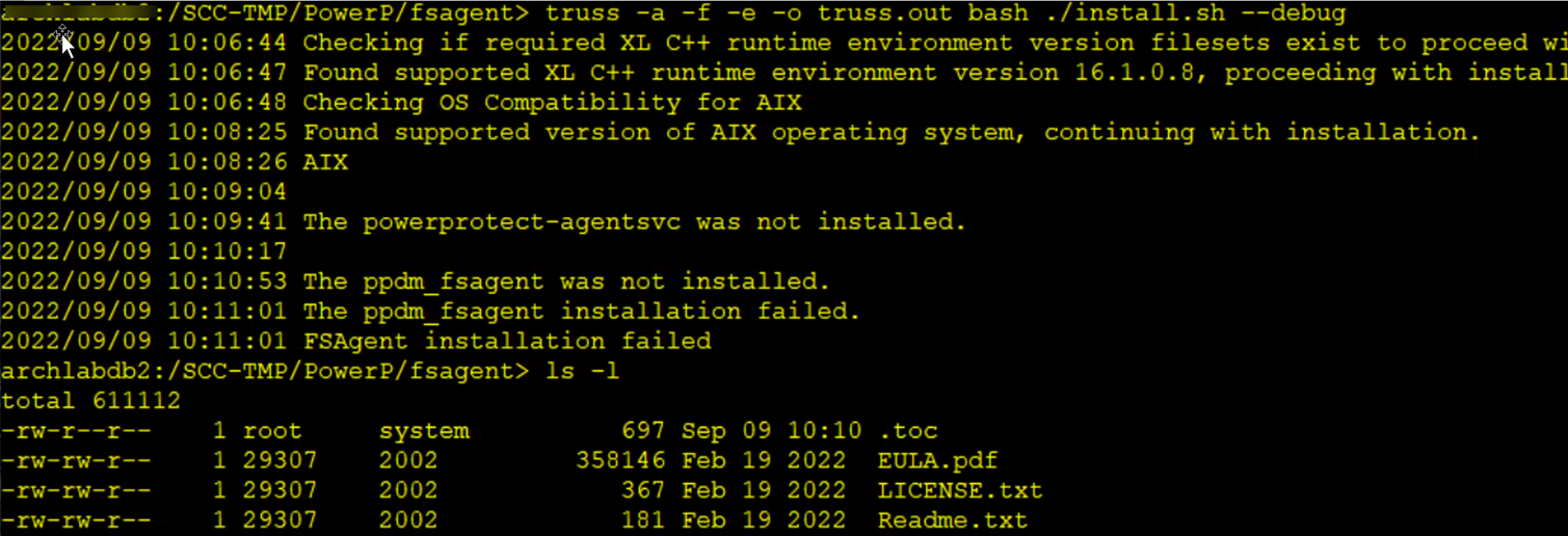 install.sh komut çıktısı örneği