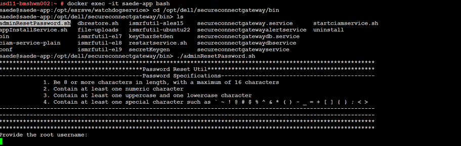 Screenshot of command to change password