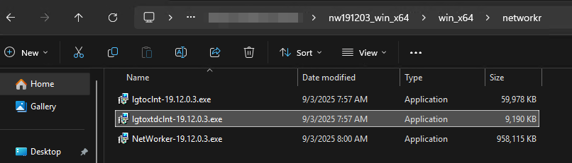 Windows lgtoxtdclnt-pakket