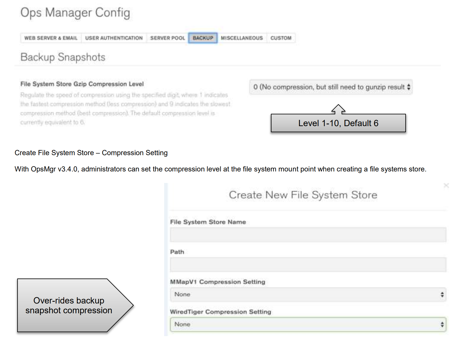 Ops Manager Configuration