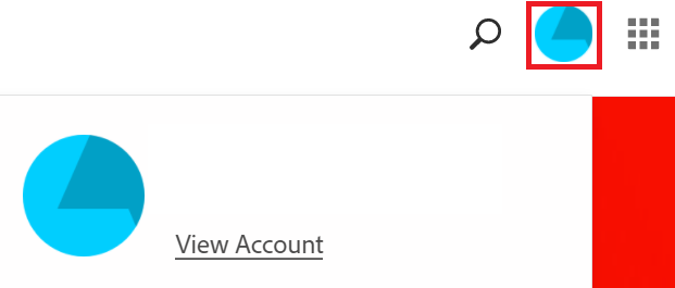 View Account (Hesabı Görüntüle) seçeneği