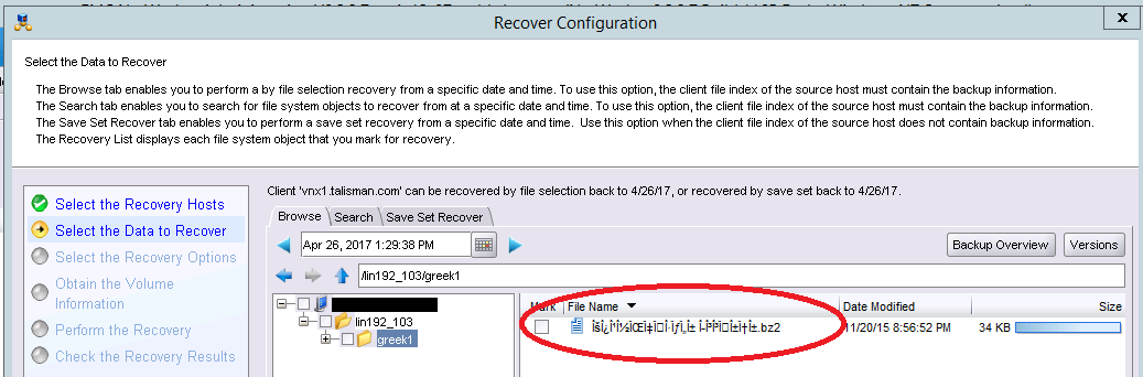 NetWorker Management Console