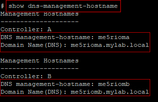 Imagen que resalta secciones de salida en dns-management-hostname en las que centrarse