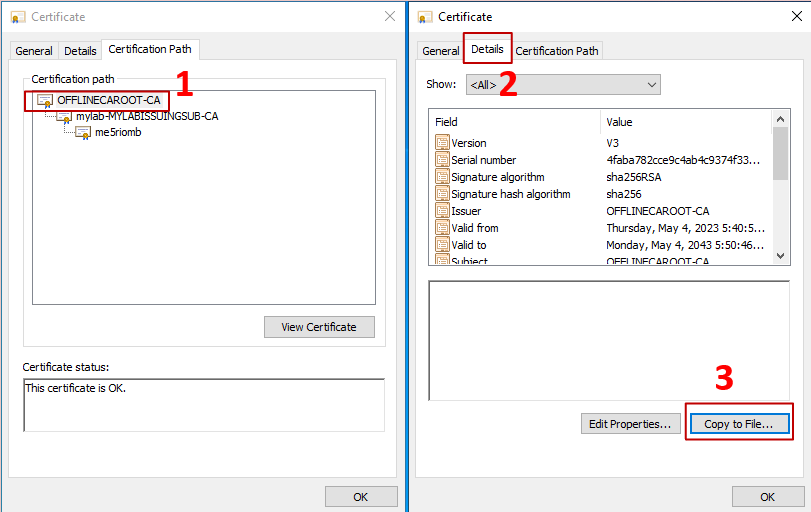 Imagen que muestra el flujo de qué hacer clic en la raíz offline